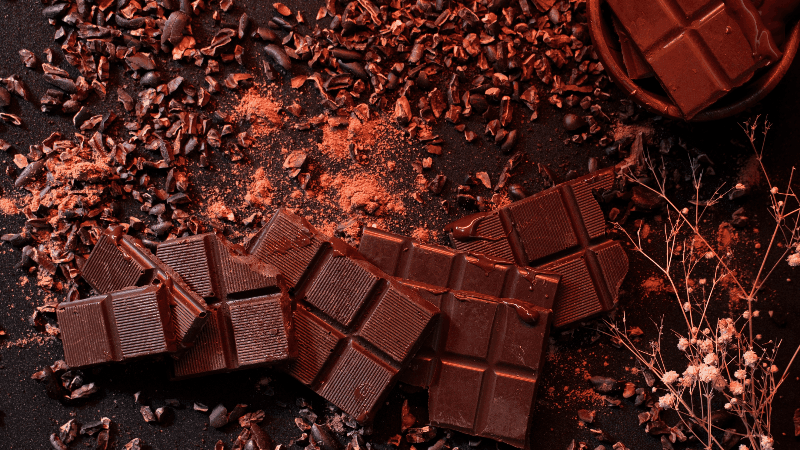Dark chocolate with cacao nibs and cocoa powder