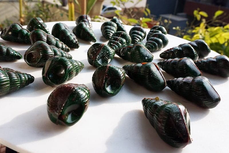 Paan artisanal chocolates