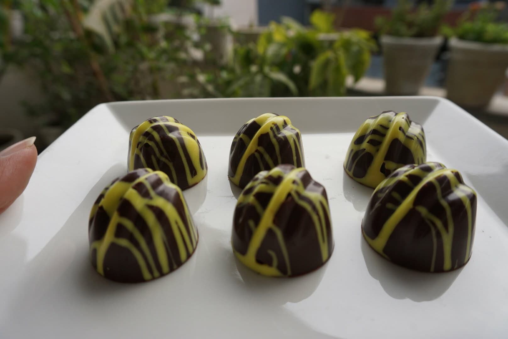 Chocolates at a tasting